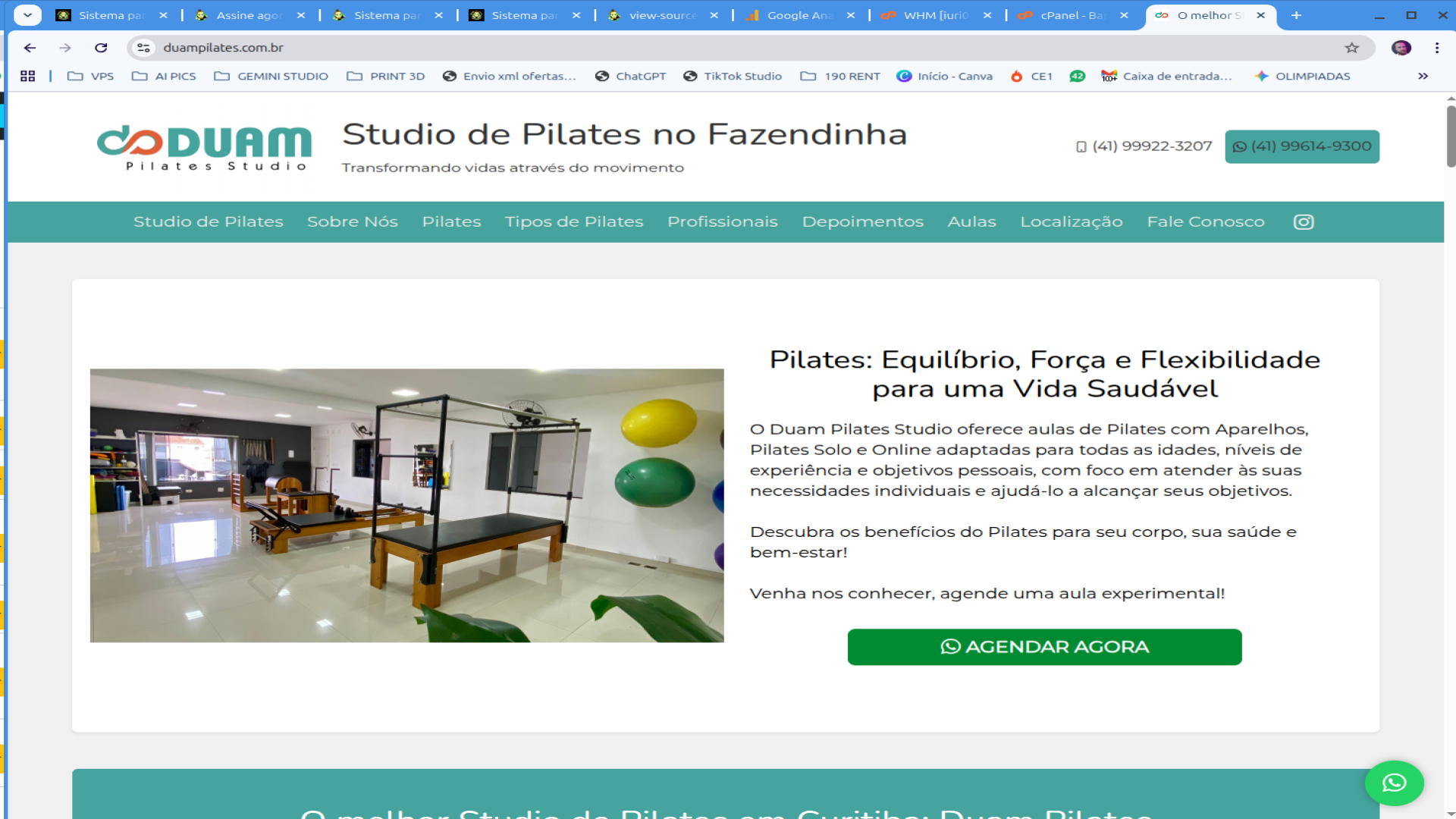Site Profissional (Vitrine Premium na Internet)